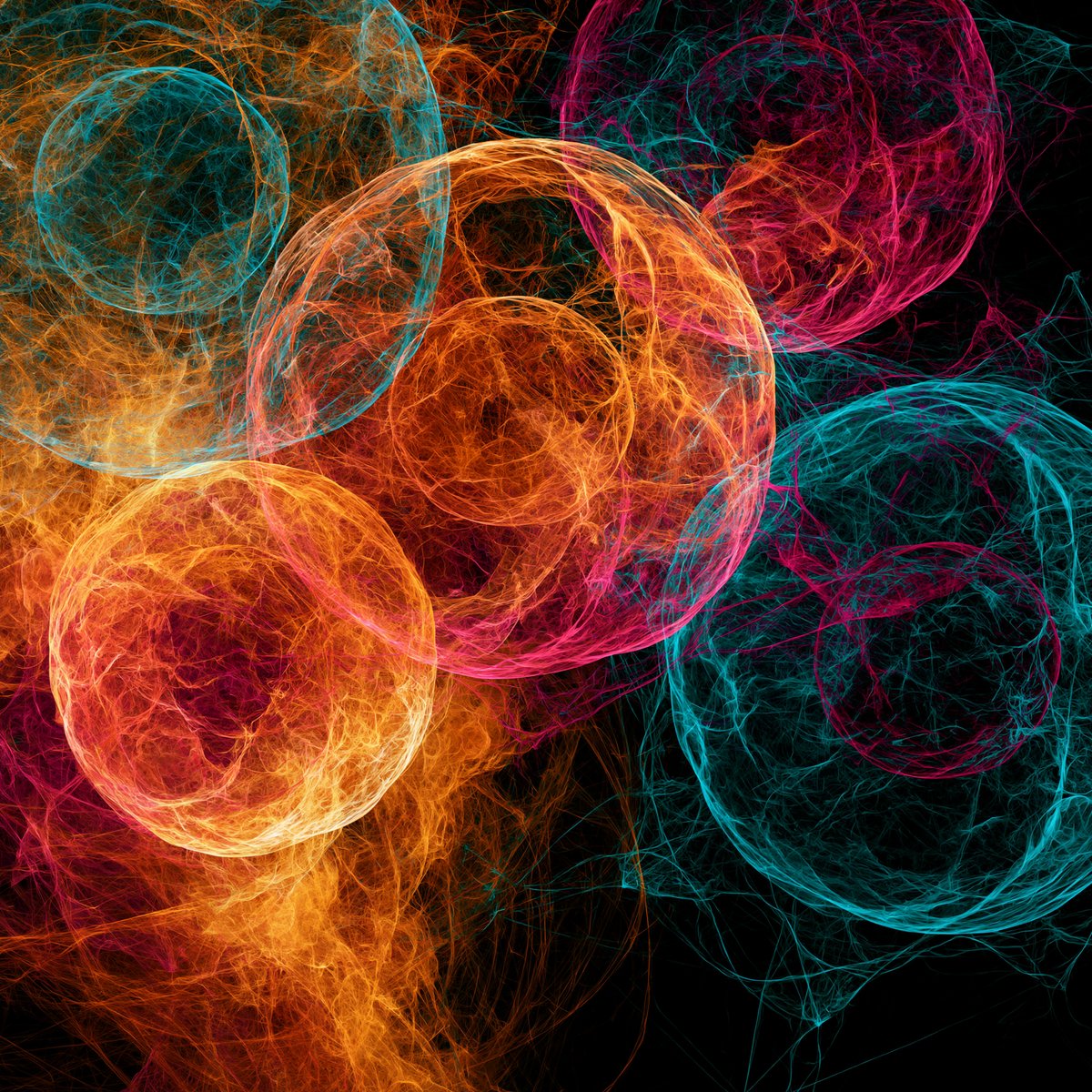 Cellular structures in multicolored fractal detail